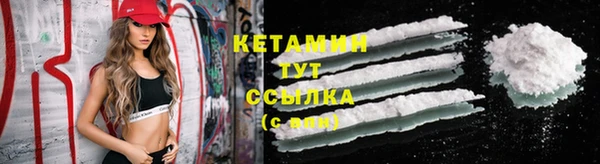 крисы Вязники