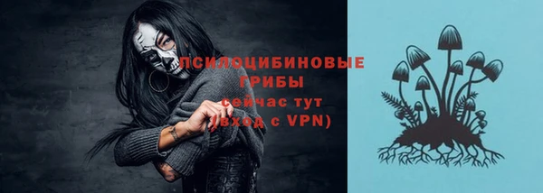 кокс Вяземский