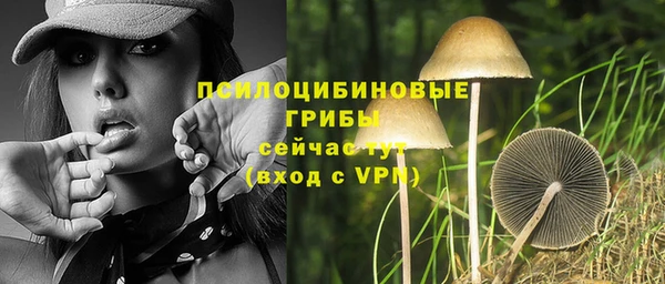 крисы Вязники
