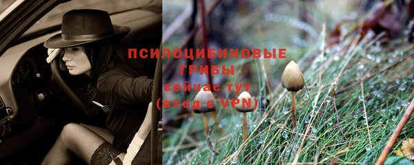 крисы Вязники